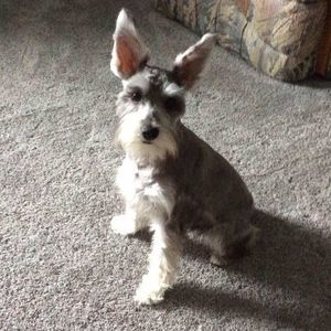 Meet your Posher, Diane